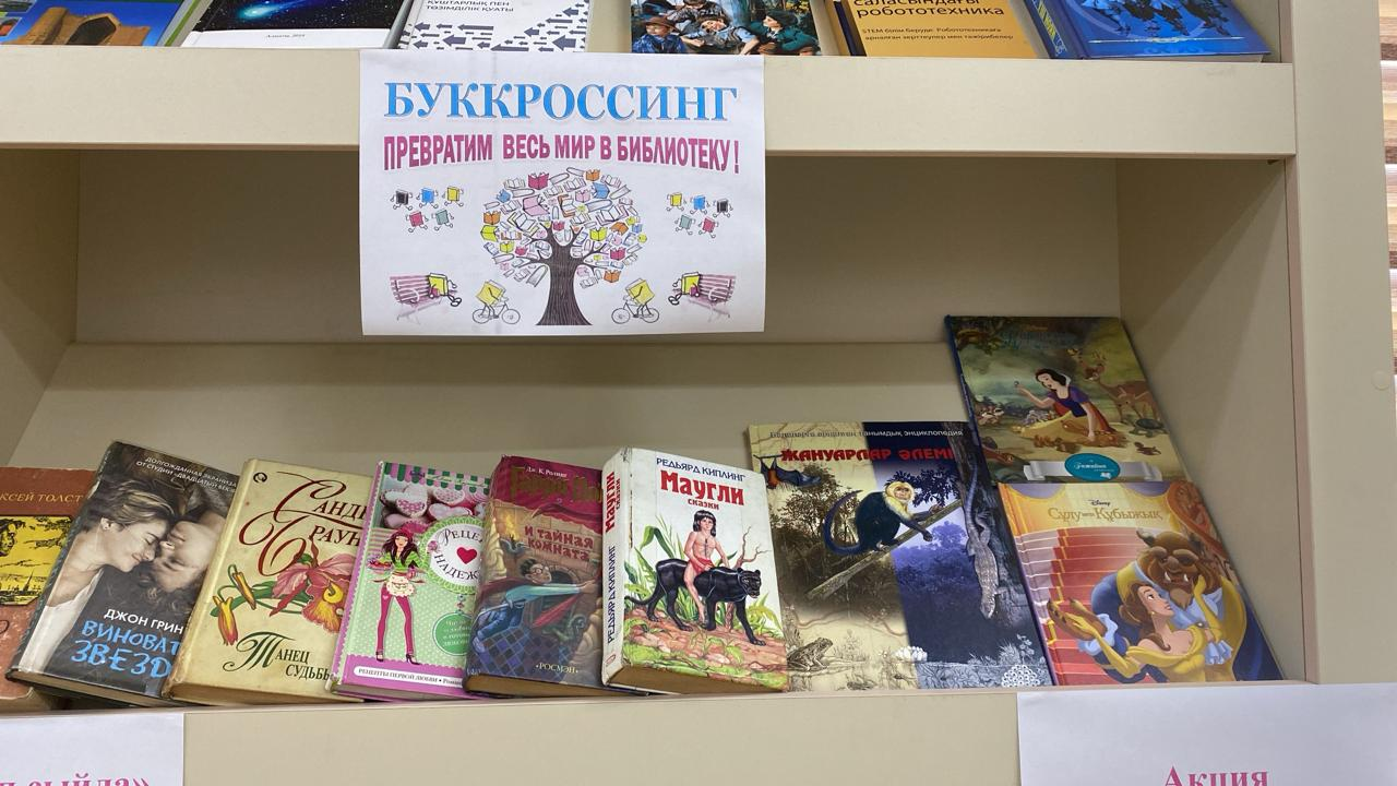 Буккроссинг